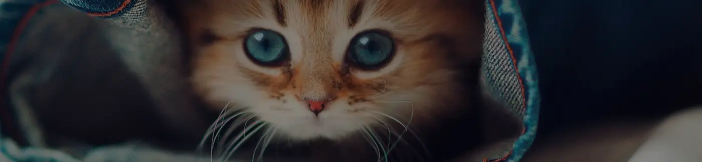 Petlovershop