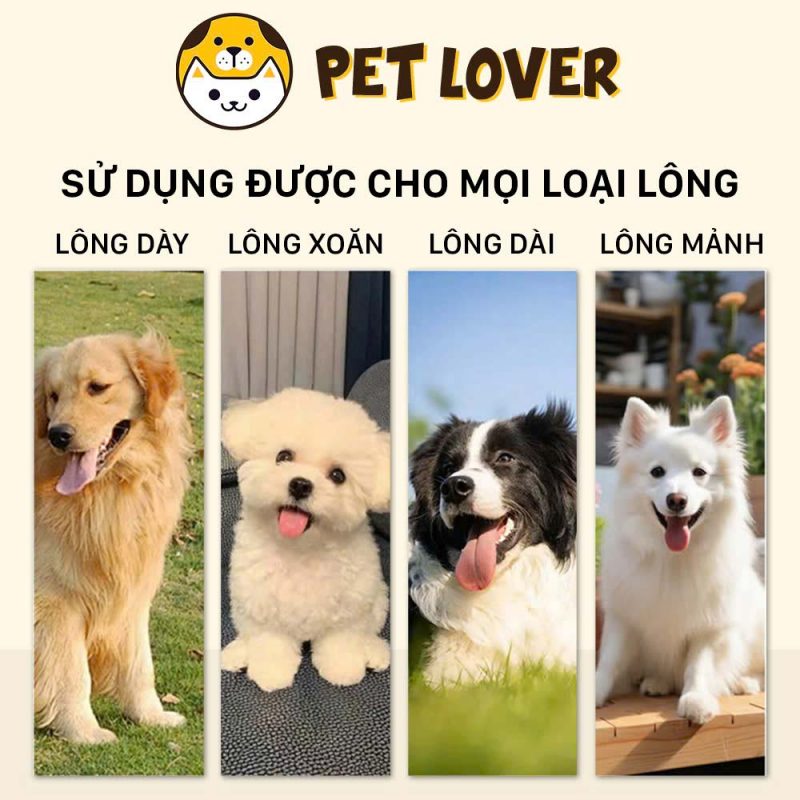 tông đơ cắt lông cho chó