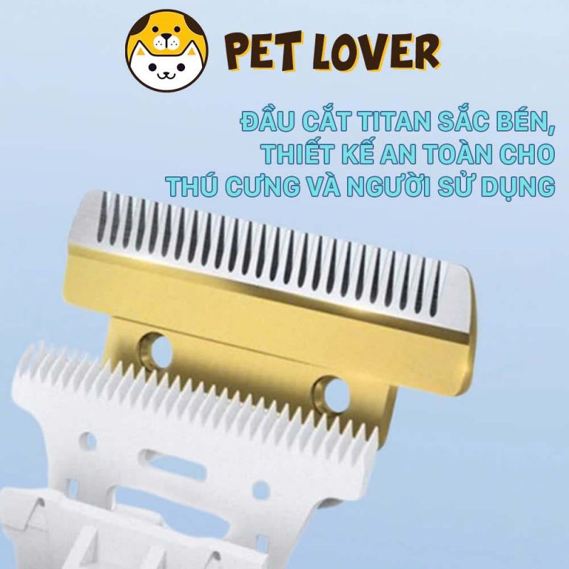 Tông đơ cắt lông chó Poodle