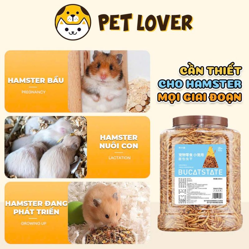 sâu cho chuột hamster