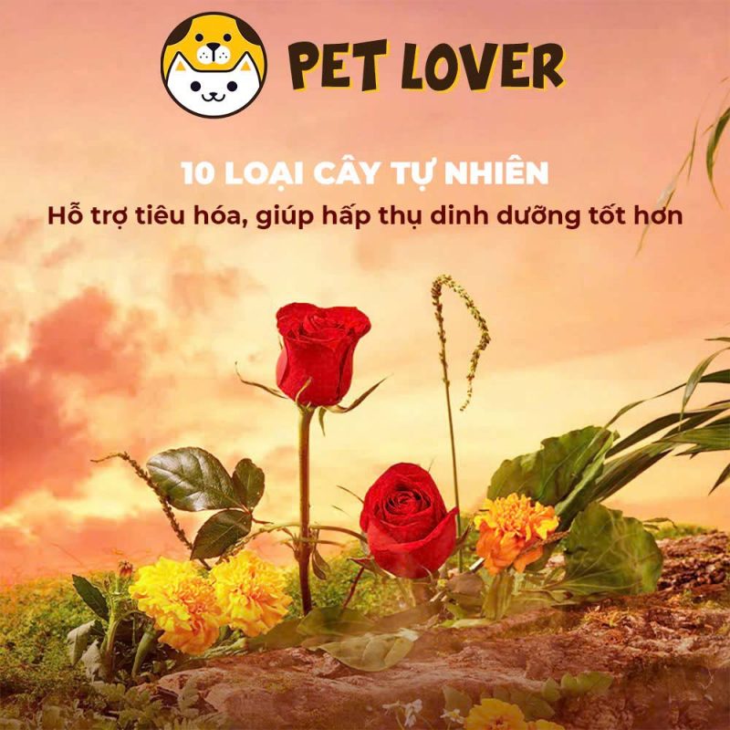 thức ăn cho hamster winter white