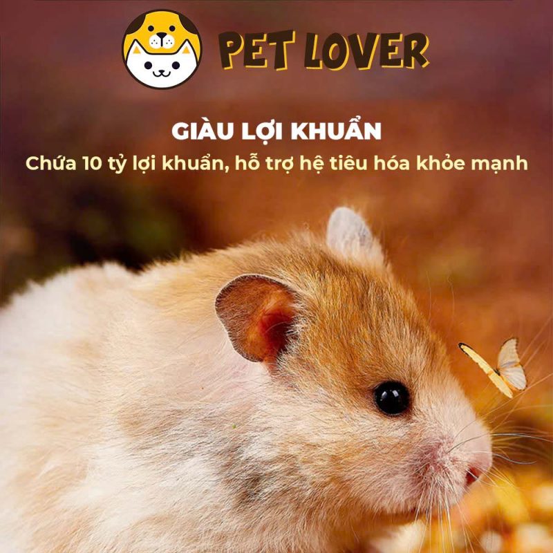 thức ăn cho chuột hamster