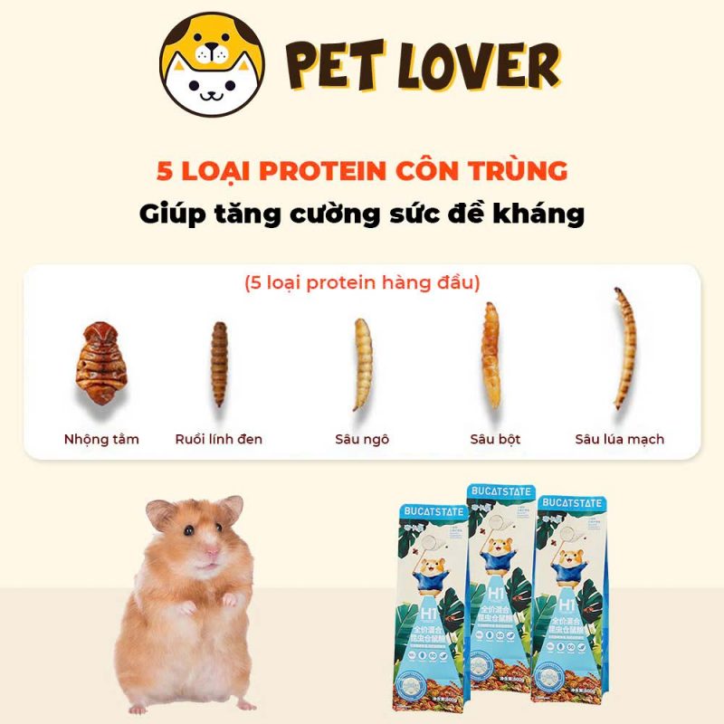 Thức ăn cho chuột Hamster ở Hà Nội