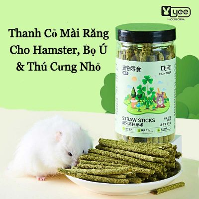 que-co-mai-rang