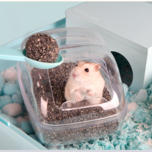 cát tắm chuột hamster